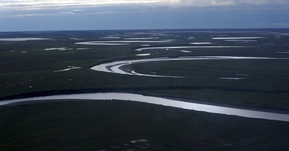 Biden administration restricts oil and gas leasing in 13 million acres of Alaska’s petroleum reserve
