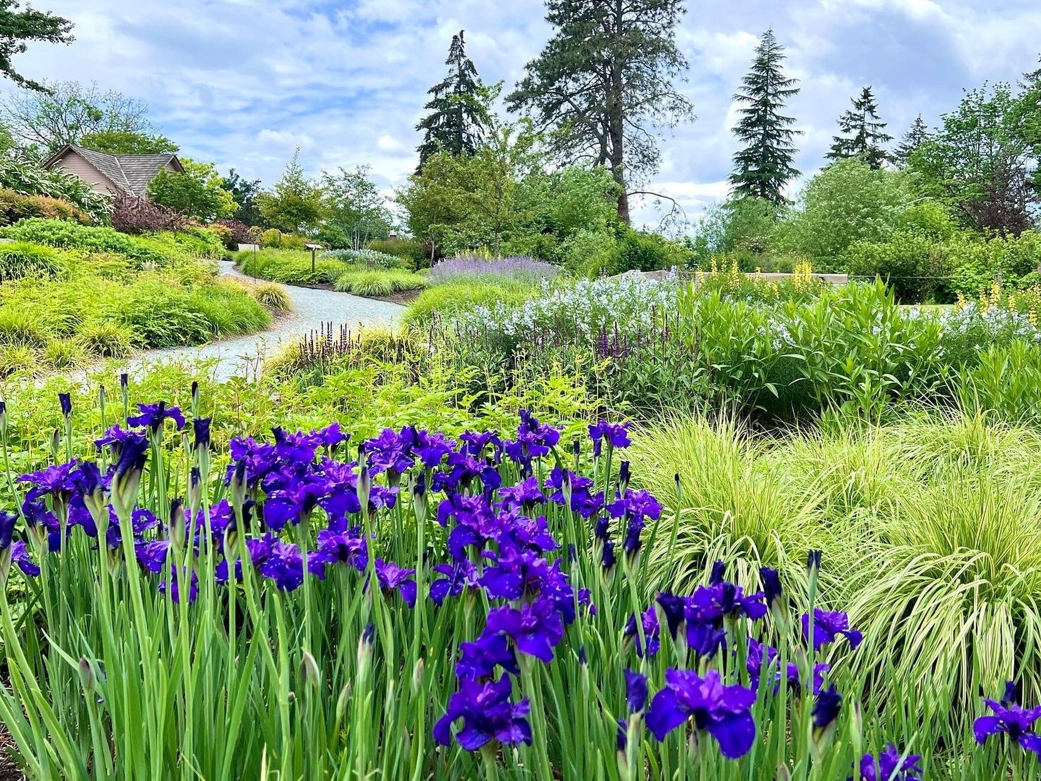 5 outings to see spring flowers around Seattle this May | The Seattle Times