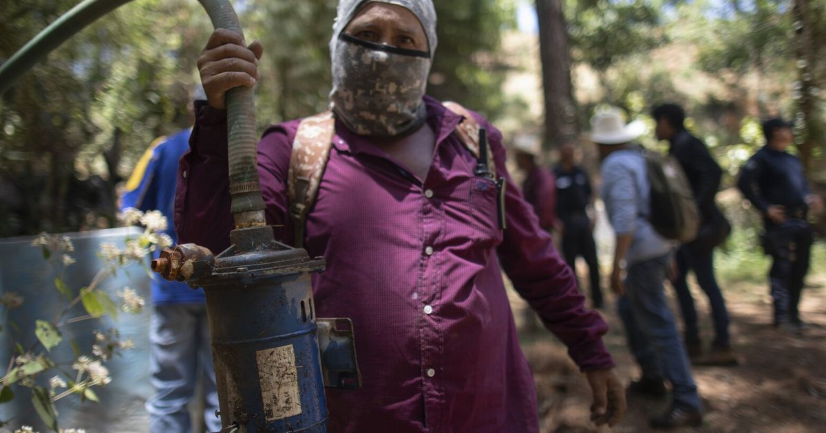 Villagers in Mexico organize to take back their water as drought, avocados dry up lakes and rivers