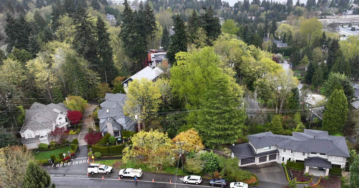 Mercer Island says water conservation likely needed after main leak
