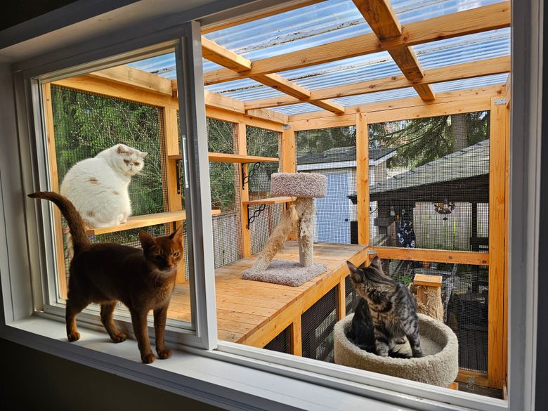 Woodworkers Billy Froton and John Arcana built this custom-made cat enclosure for a client in West Seattle. Their company Art & Function Custom Woodworking constructs sturdy frames and adds built-in features like ramps, scratching posts and perches. (Courtesy of David Froton/Art & Function Custom Woodworking)