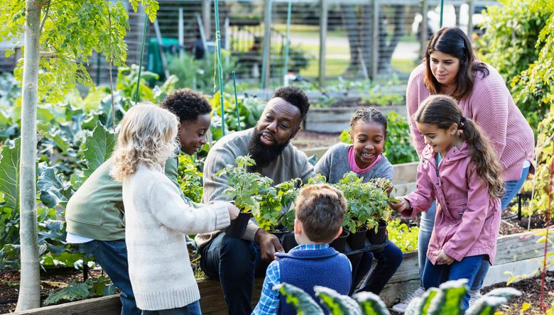 A man is holding a tray of seed starts in a community garden. He is speaking to a group of students and another adult.