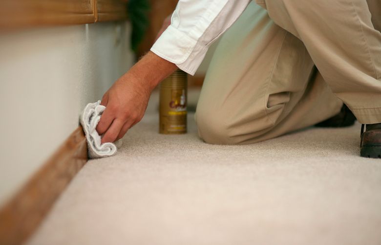 Something most homes have but are forgotten in the cleaning process? Baseboards. Use a vacuum and damp cloth to wipe them down. (Getty Images)