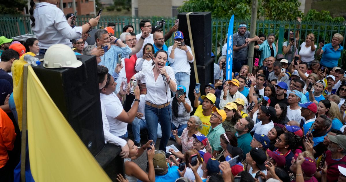 Venezuela’s opposition backs unknown former diplomat in latest gambit ...