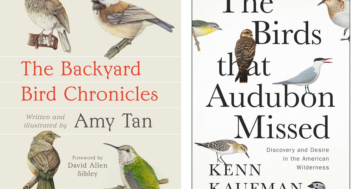 Book Review: Novelist Amy Tan shares love of the natural world in ‘The Backyard Bird Chronicles’