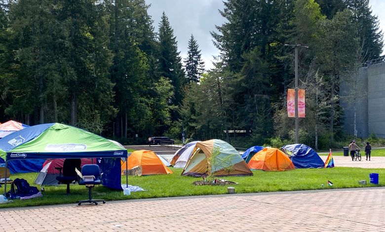 camping anhnger mit dachzelt Dachzelt Anhnger auf Kofferanhnger-Basis  TPV KT-EU2  Cultmobil Shop