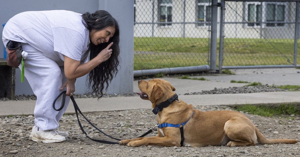 Women in WA prisons learn to care for pets and themselves while behind bars