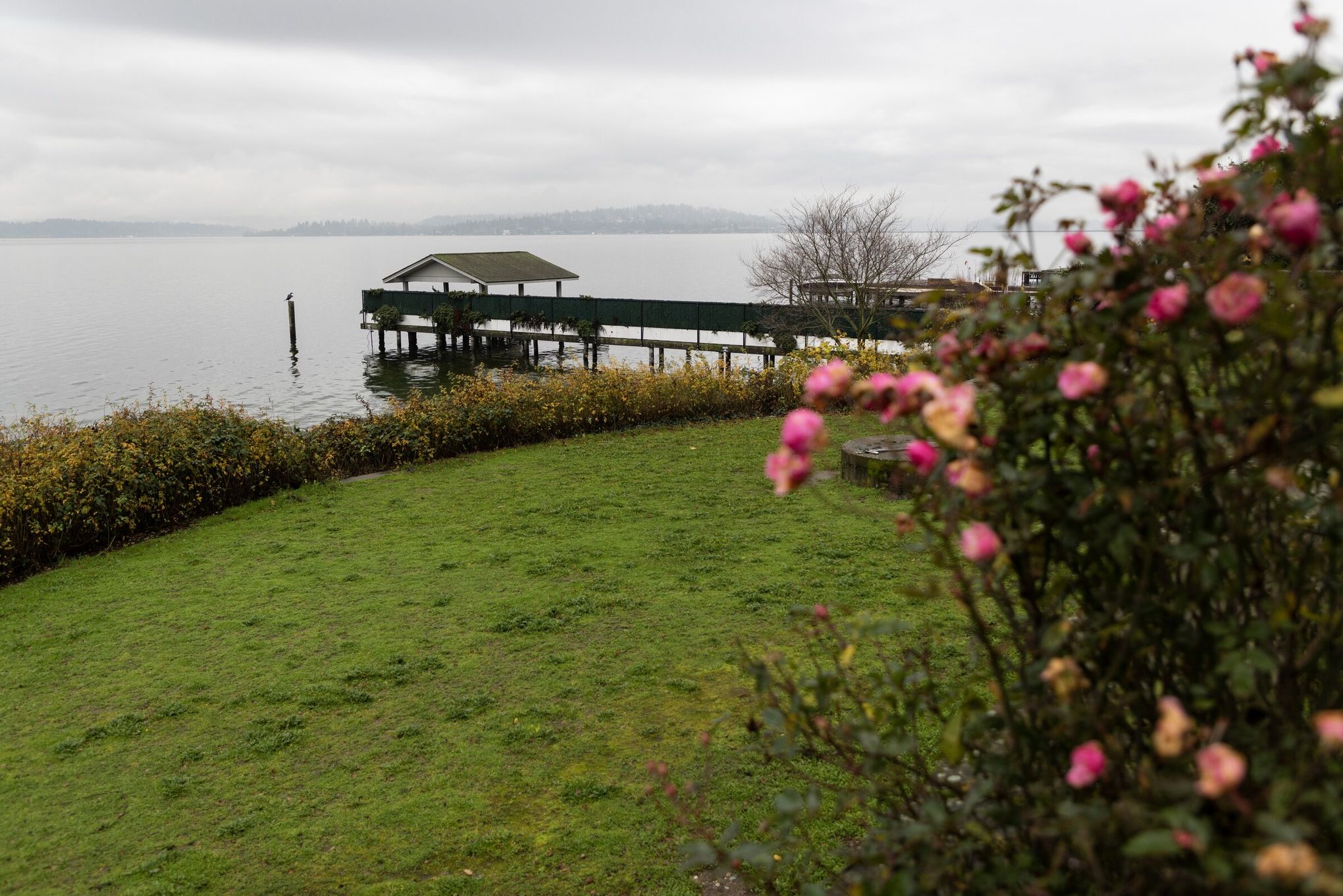 Funder of proposed play area at Seattle nude beach revealed, city plan  draws ire | The Seattle Times