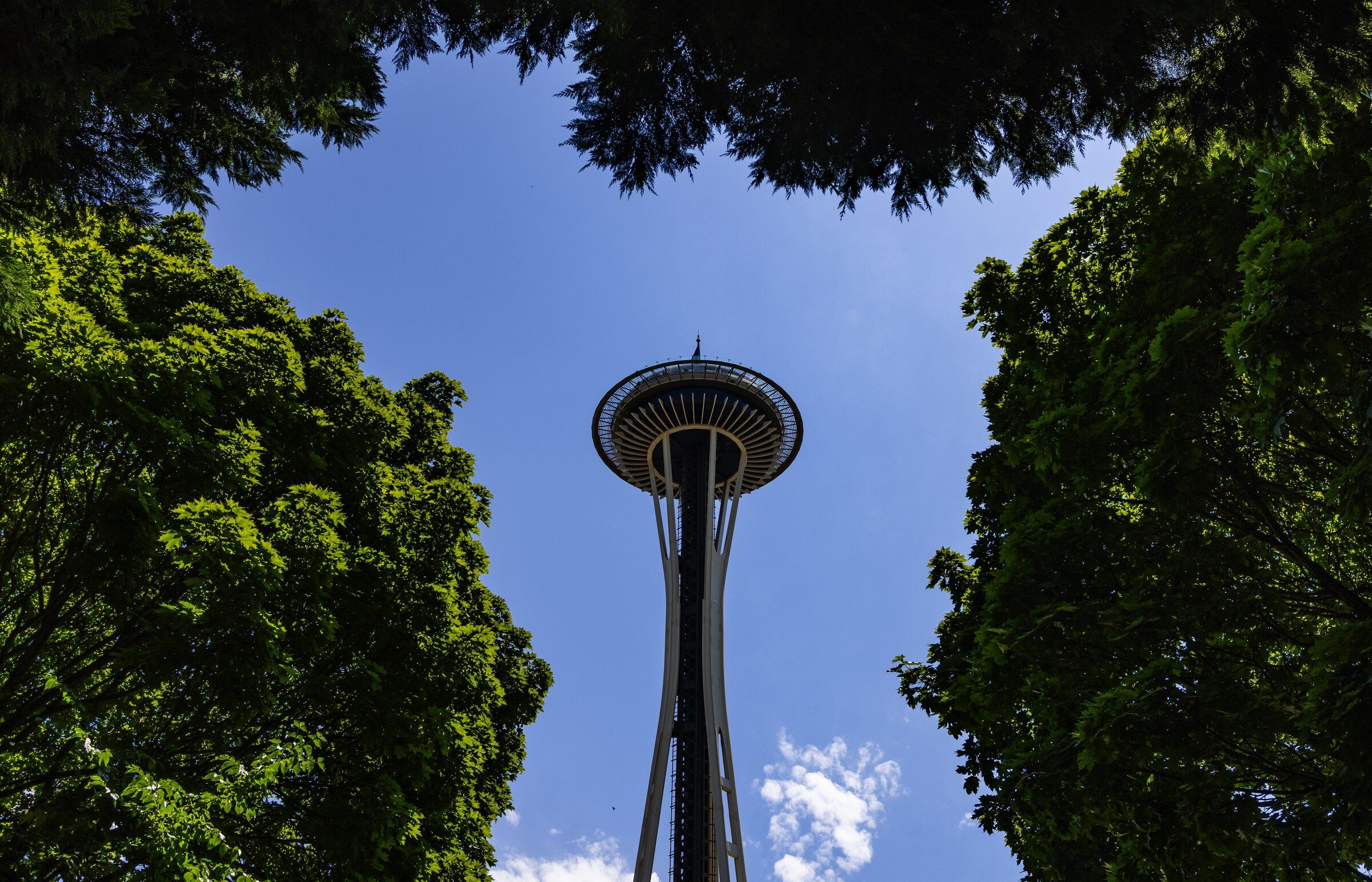 細川真希 原画「People in Seattle 2011」16×26cm Goodbye_Seattle_copy.jpg?v=