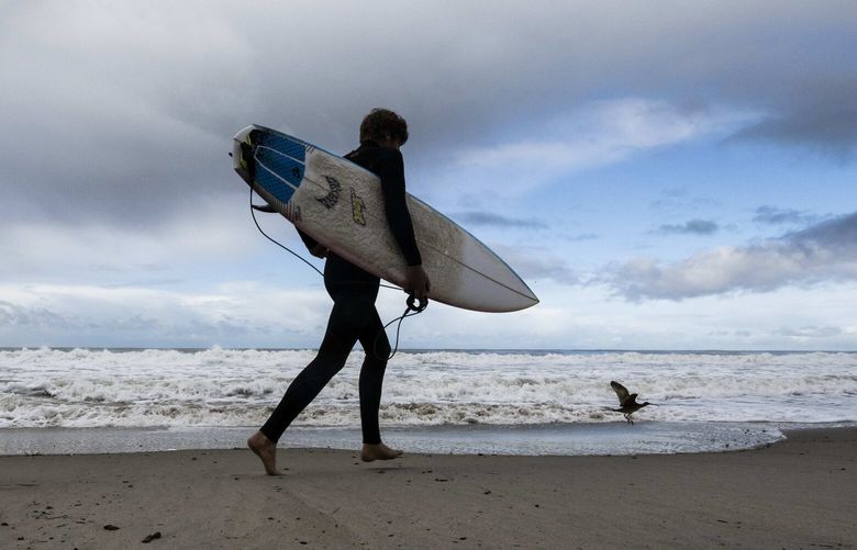 FILE – A surfer heads to the water as storms move through the area in San Clemente, Calif., Dec. 12, 2022. A two-mile (3.2-km) stretch of the popular Southern California beach was closed for the Memorial Day holiday after a shark bumped a surfer off his board the night before, authorities said. The 24-hour closure at San Clemente was announced after the surfer came out of the water and reported the shark’s aggressive behavior to lifeguards Sunday evening, May 26, 2024. (Paul Bersebach/The Orange County Register via AP, File) CAANR601 CAANR601