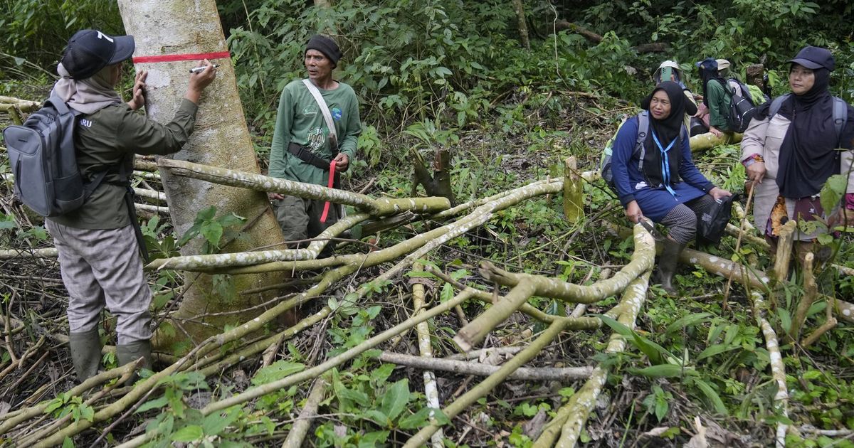 Meet the female force protecting Indonesia’s threatened rainforest