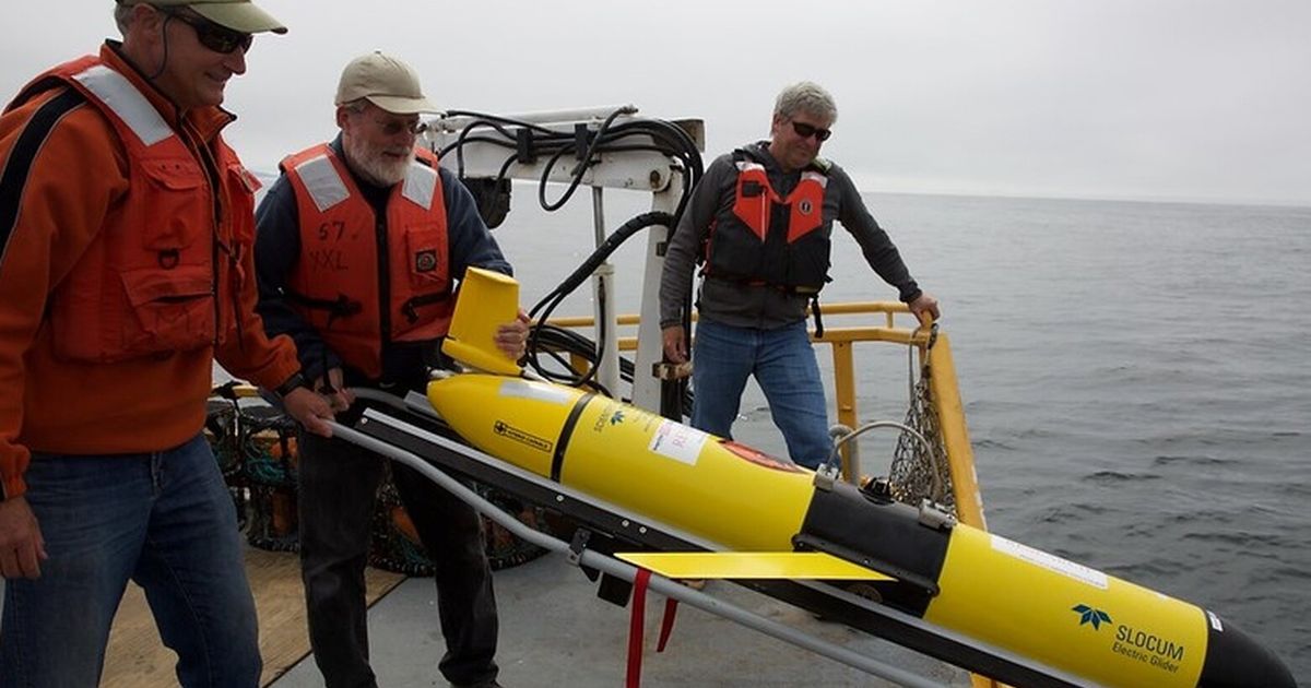 PNW coast suffers from low oxygen, study finds. It’s becoming the norm