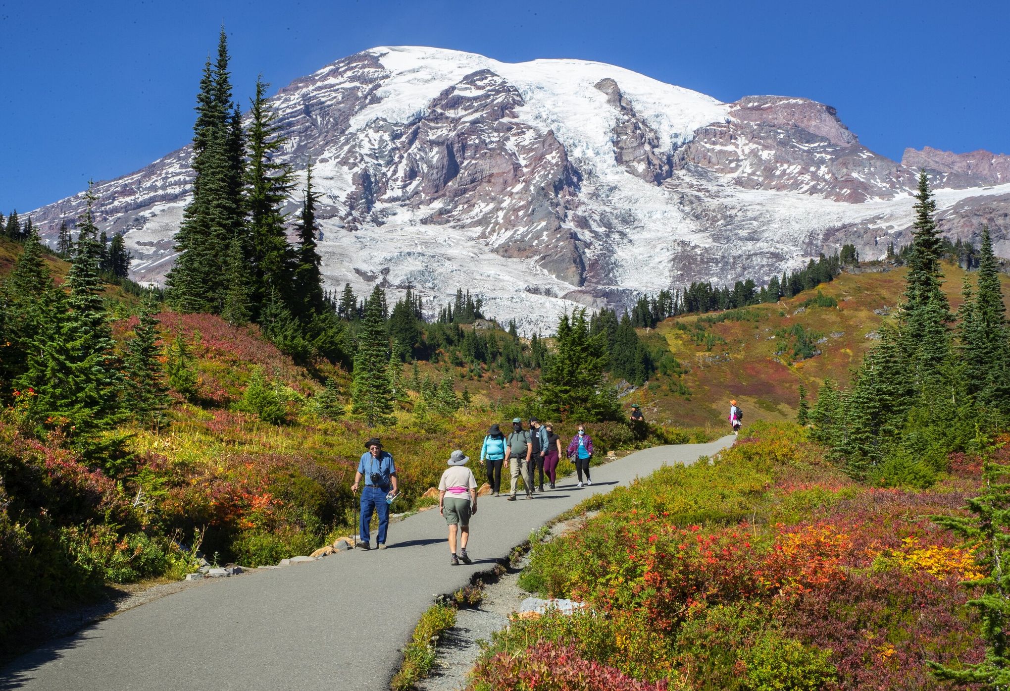 Mount Rainier National Park