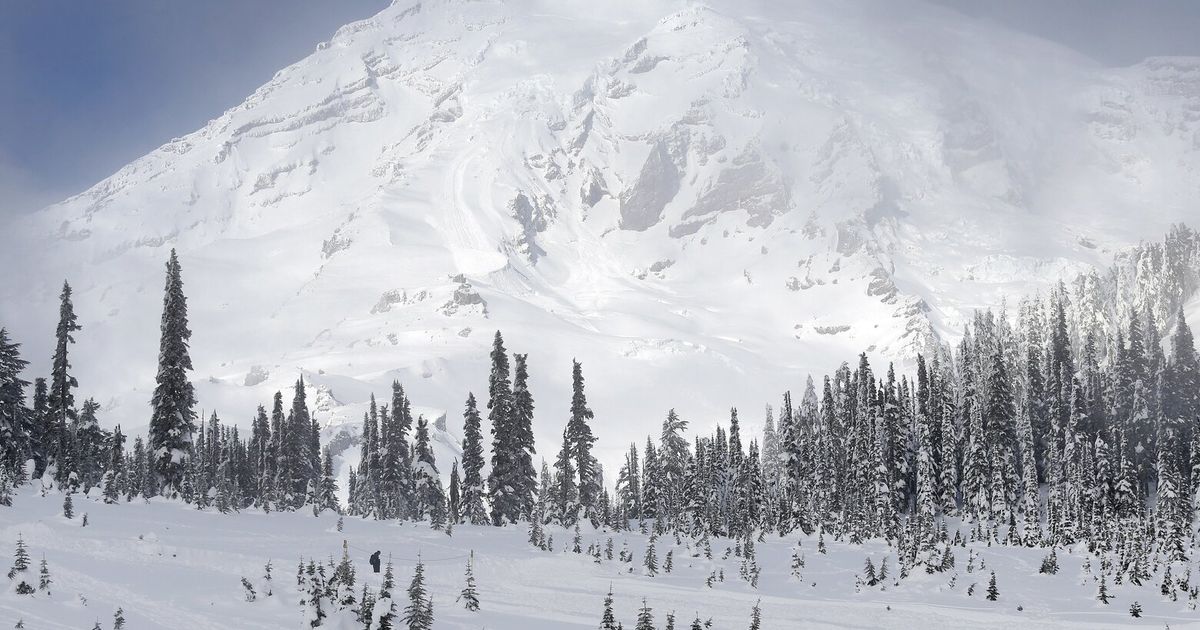 Body of missing Mount Rainier skier recovered The Seattle Times