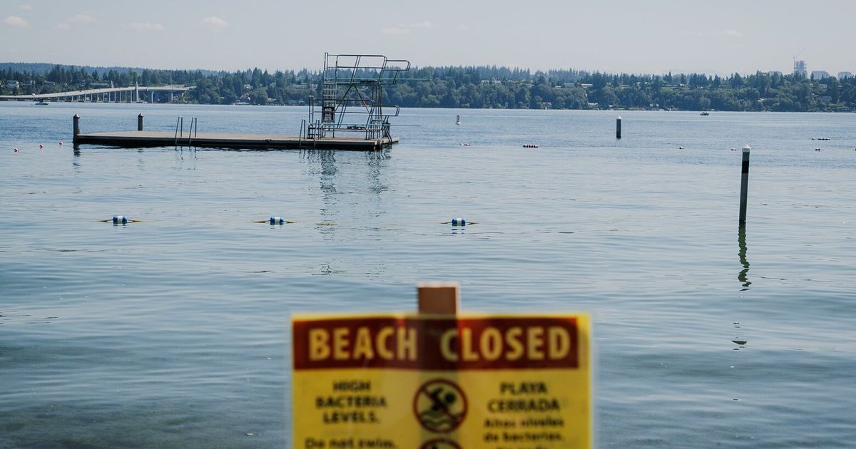Bacteria in water closes several Seattle-area beaches