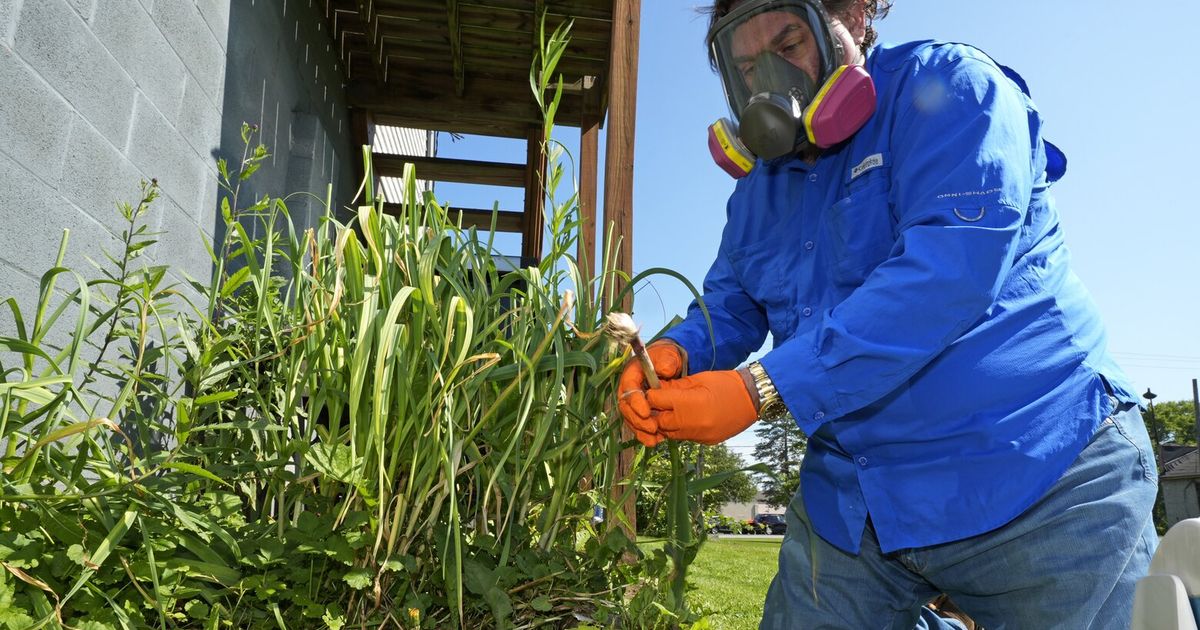 Citing toxins in garlic, group says EPA should have warned about chemicals near Ohio derailment