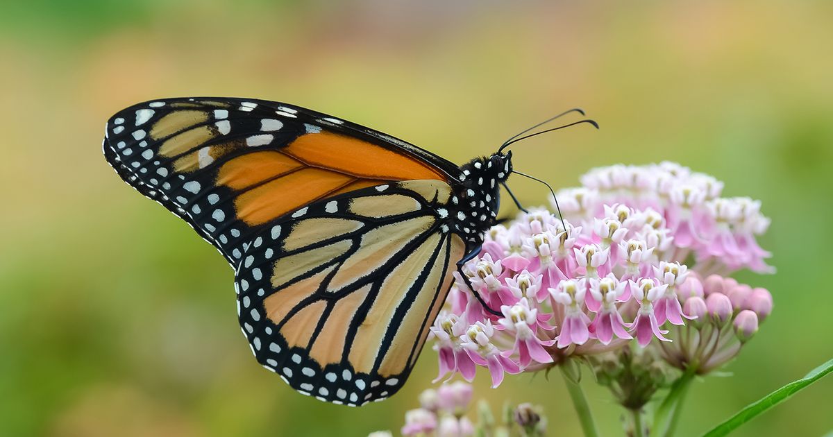 featured-image