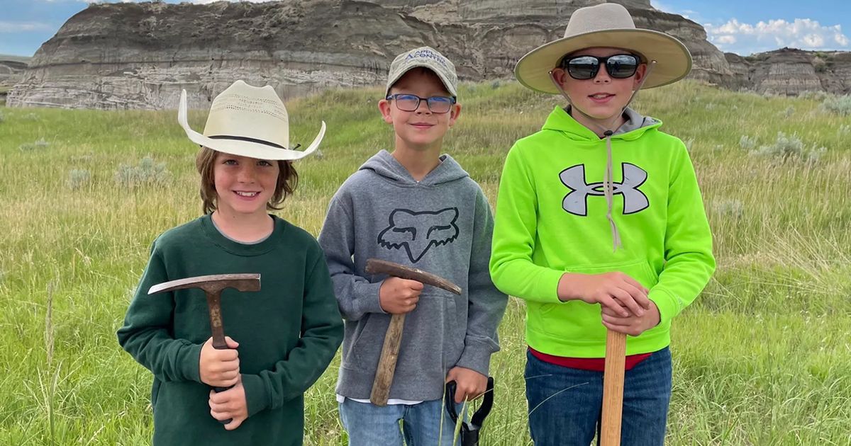 Three boys found a T. rex fossil in North Dakota. Now a Denver museum works to fully reveal it