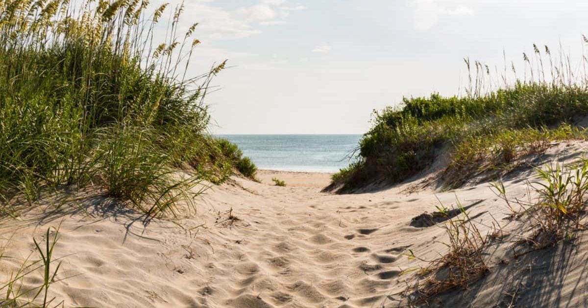 featured-image