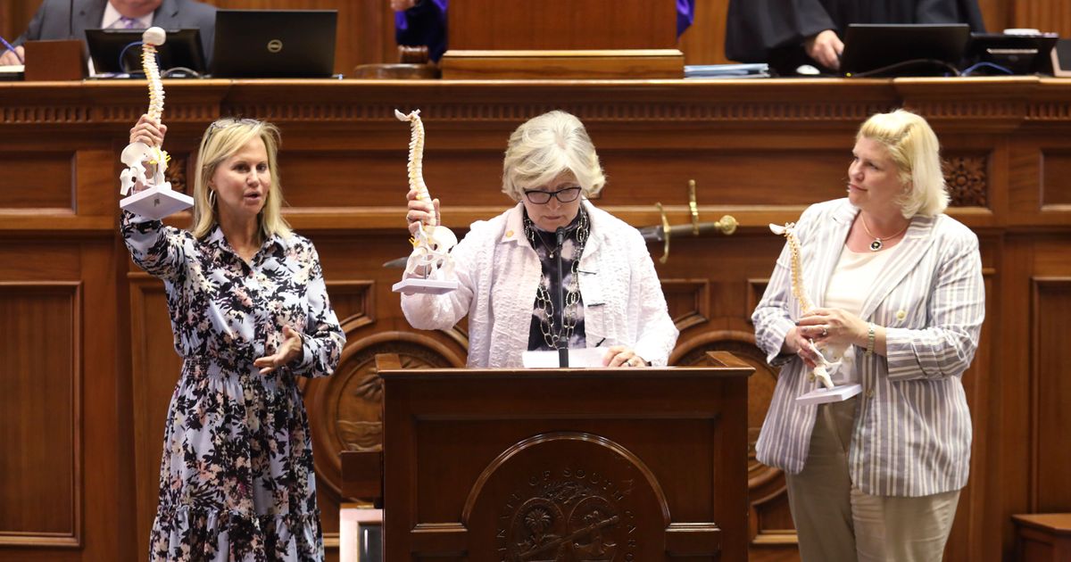 GOP women who helped defeat a near-total abortion ban are losing reelection in South Carolina
