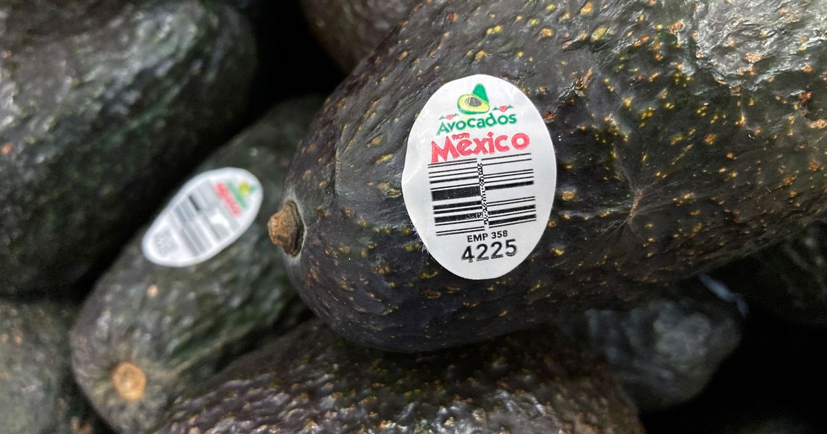 US will gradually resume avocado inspections in conflictive Mexican state, ambassador says US will gradually resume avocado inspections in conflictive Mexican state, ambassador says