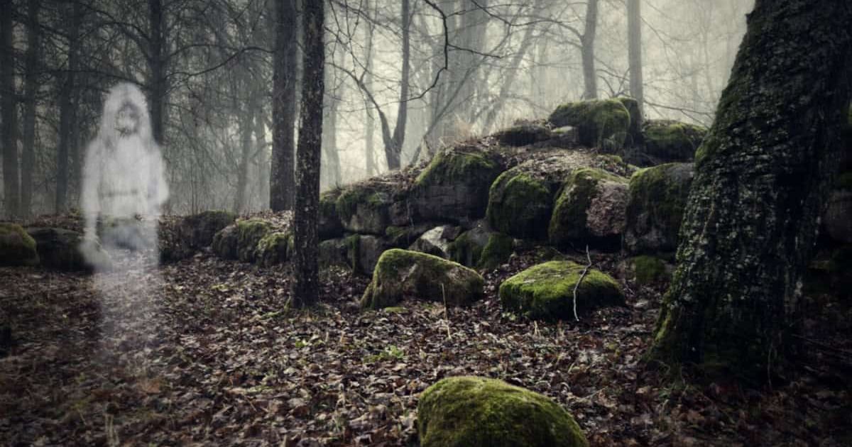 featured-image
