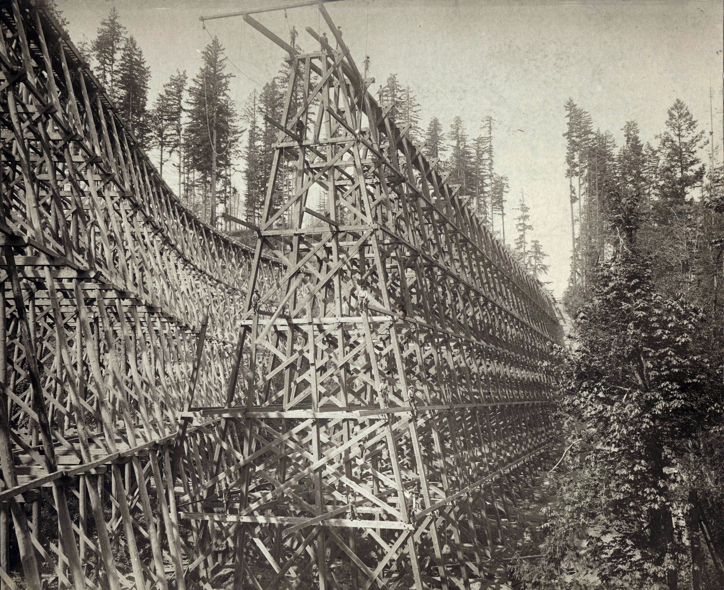 Only forest (and rubbish) remains at the site of Newcastle's coal
