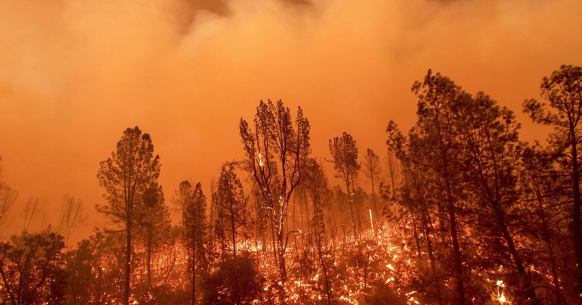 Real Fire Example Is the Bogus fire for real? Fire officials have a way with names | The ...
