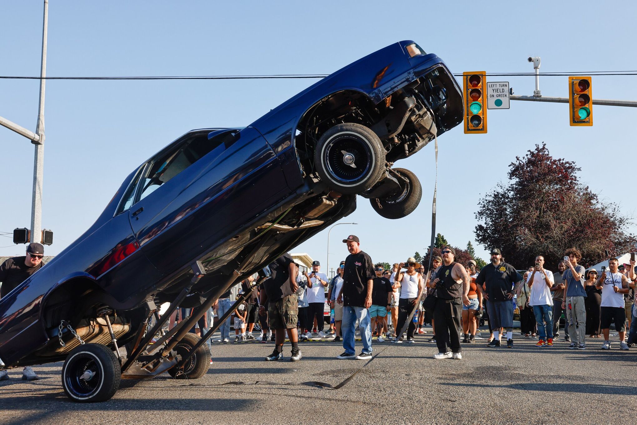 Down Low Riders Dr Low Riders