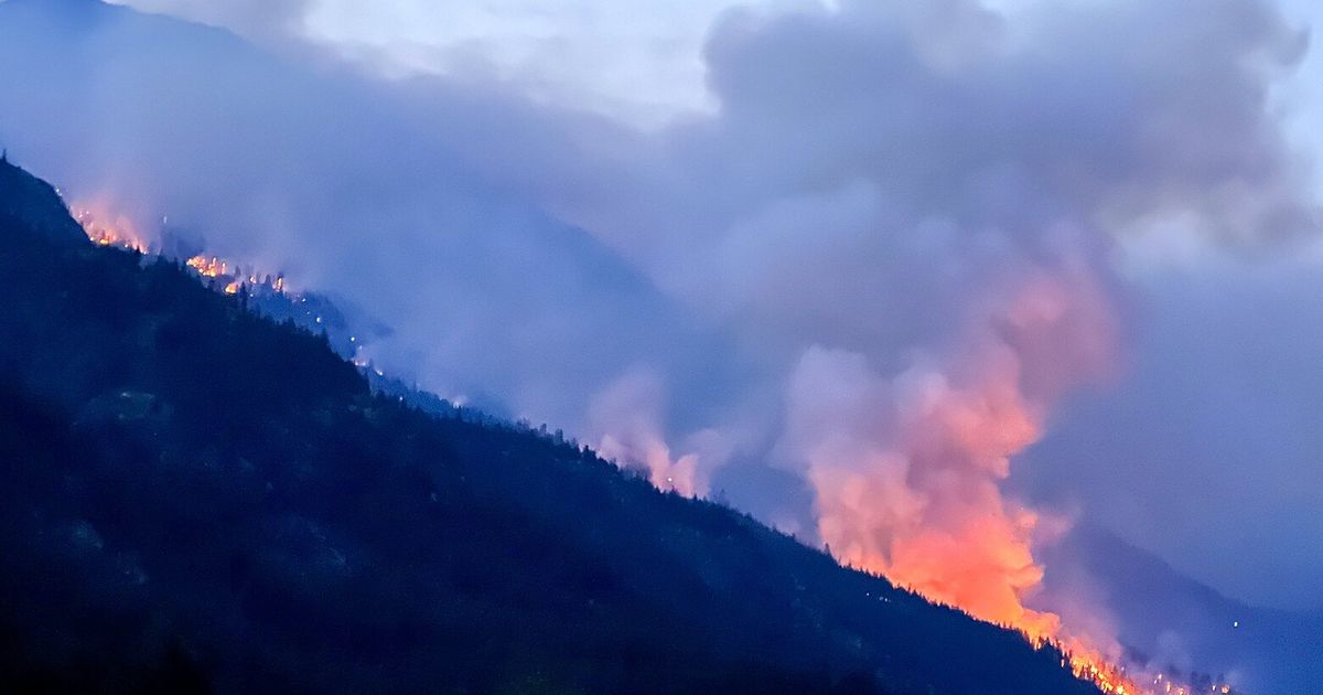 The 2024 wildfire season appears to be over in WA. Here’s the damage