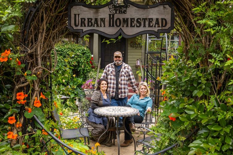 From left, Anais, Justin and Jordanne Dervaes carry on the family work at Urban Homestead that their father Jules Dervaes, Jr. created in 1985. They provide produce every week for more than 100 families, multiple restaurants, caterers and welcoming scores of school children to see how food is grown. Jordanne teaches classes in regenerative gardening and sustainable animal care to students at Occidental College. (Myung J. Chun/Los Angeles Times/TNS)