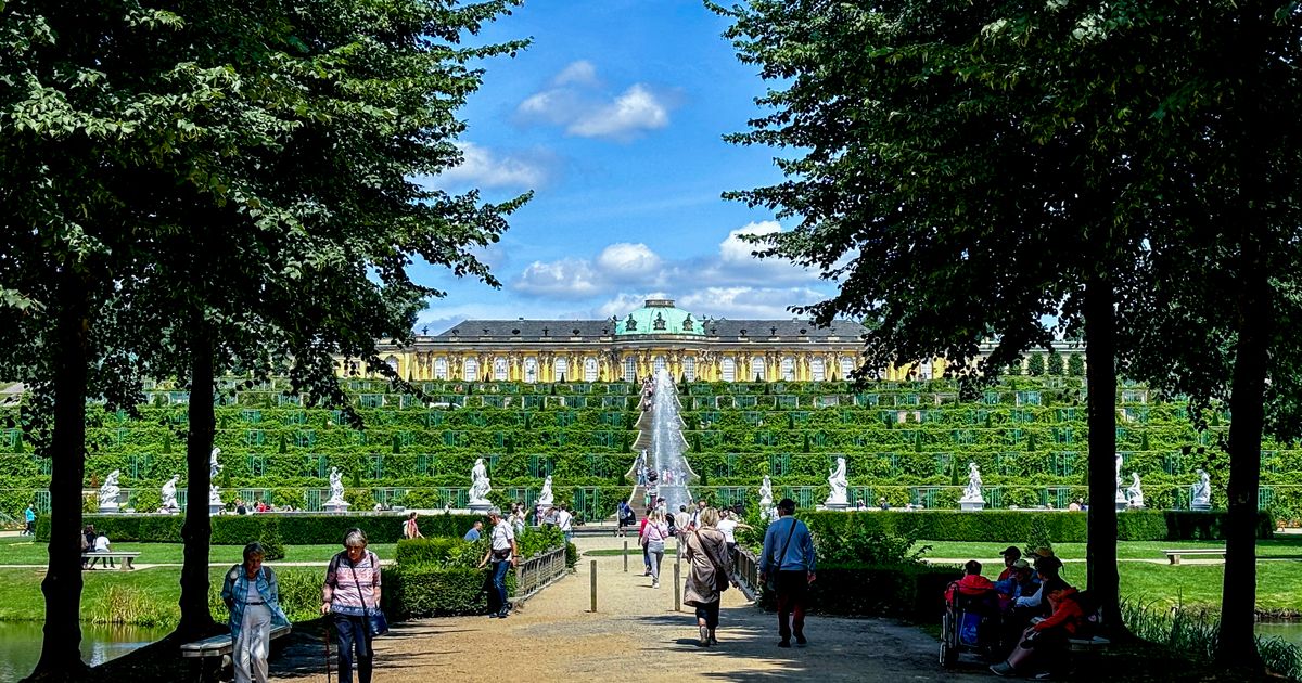 Germany’s Sanssouci Park seeks solutions as its trees struggle with climate change 