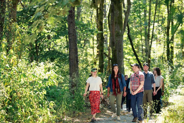 Blackberries and trash are gone, now this urban heat island has a cool new resource