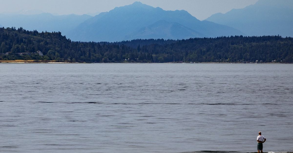 Air quality in Seattle: Tips as wildfire smoke drifts through parts of WA