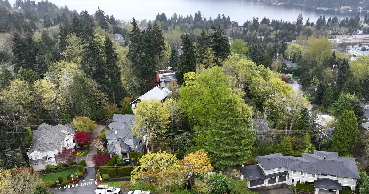 Mercer Island residents can resume normal water use after pipe repair