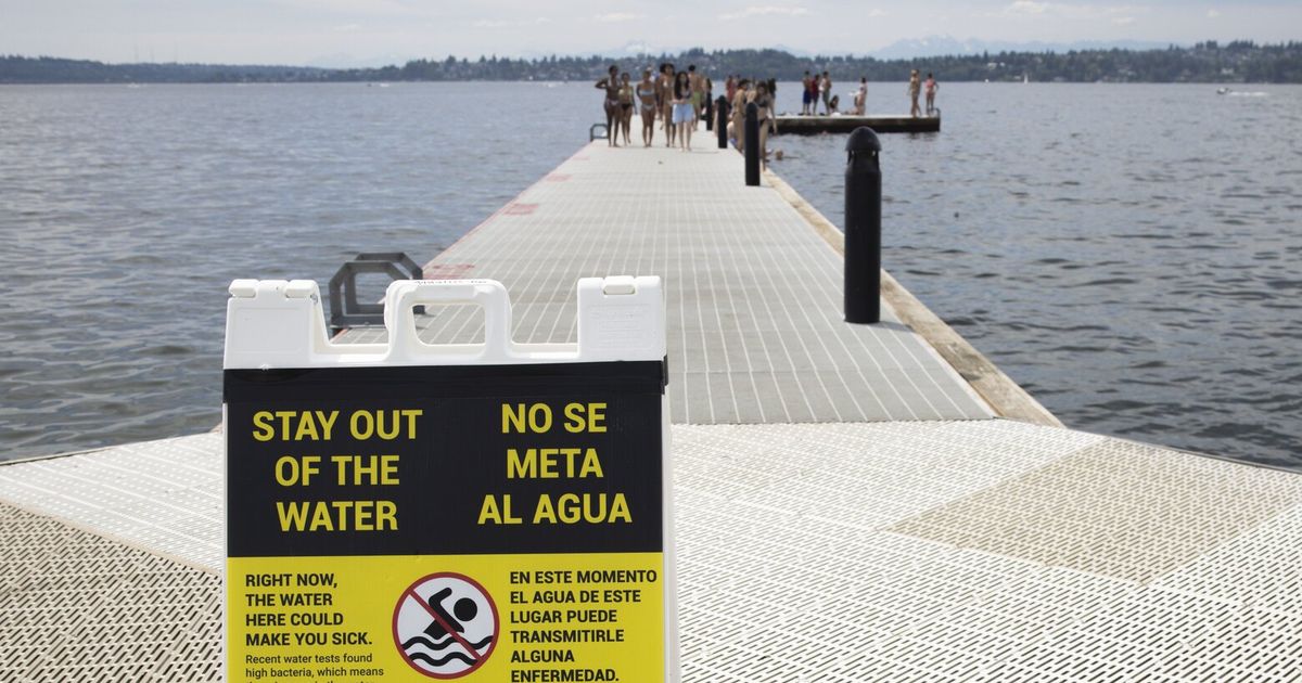 Why you should stay out of the water at these 6 Seattle-area beaches