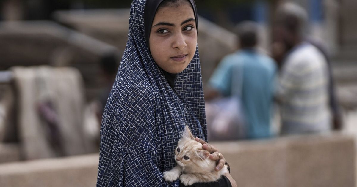 Mediadores de Oriente Medio dan un mensaje esperanzador tras conversaciones en Doha