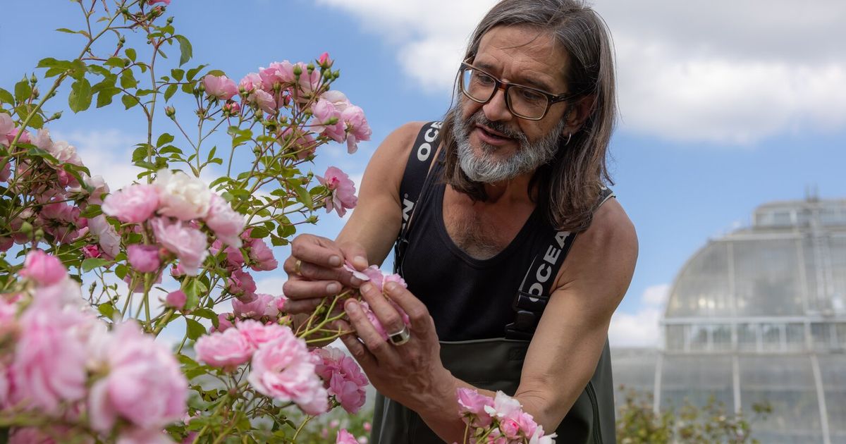 Arriesgando su propia extinción para rescatar las flores más raras