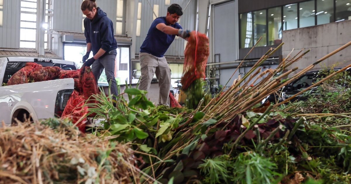How Seattle’s transfer stations process a city’s worth of garbage