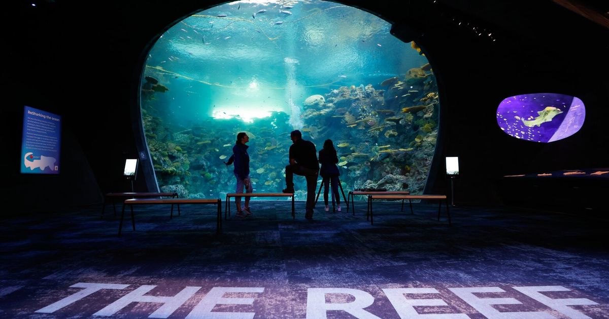 Inside the Seattle Aquarium’s new tropical exhibit