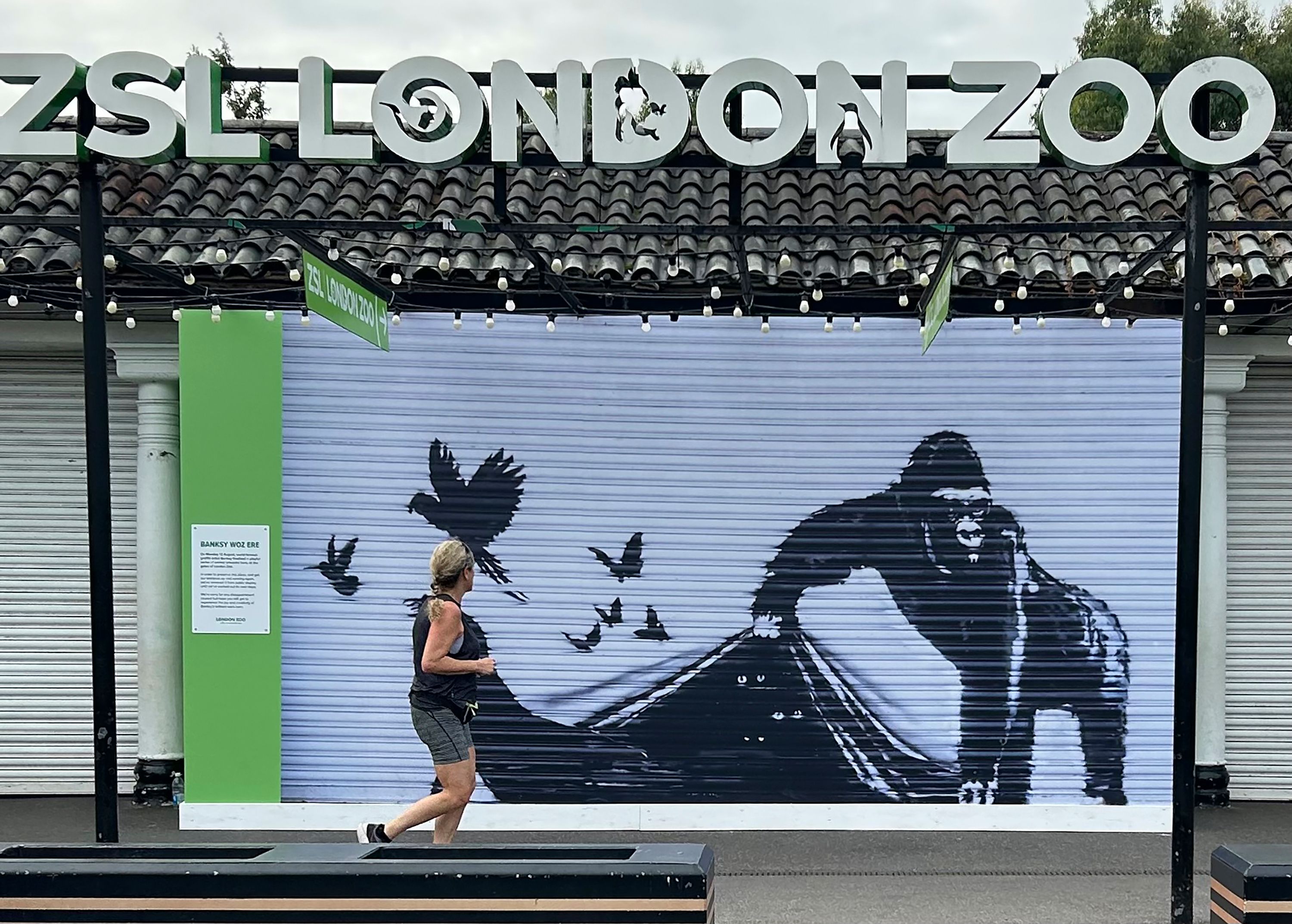 Banksy woz ere.' London Zoo is the latest to remove street Banksy woz ere.' London Zoo is the latest to remove street
