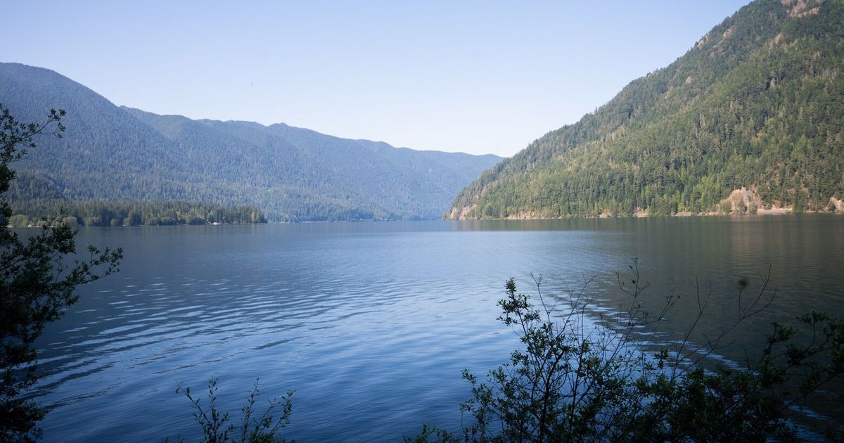 Possibly the last true bellwether county is in WA | The Seattle Times