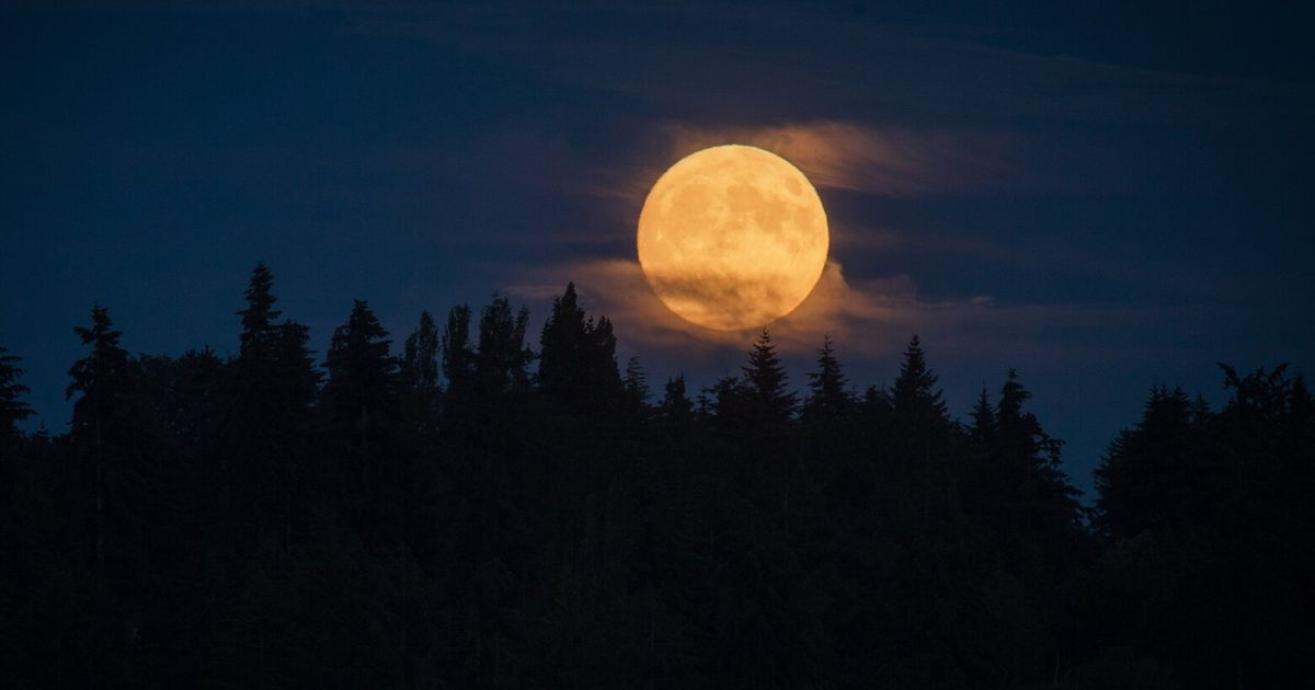 Tonight will feature a lunar combo that won't happen again until 2033 ...