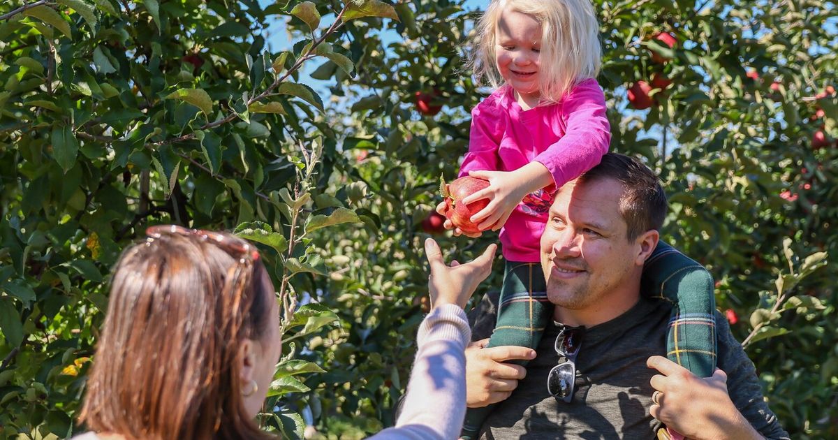 12 things to do in the Seattle area this weekend The Seattle Times