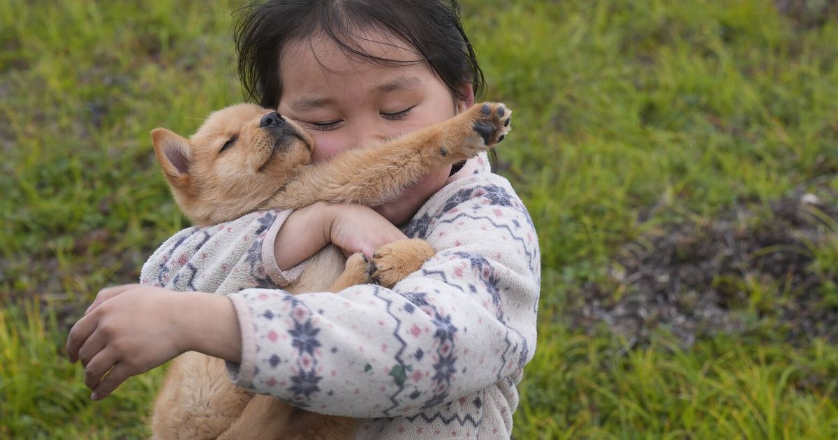 Climate change destroyed an Alaska village. Its residents are starting over in a new town