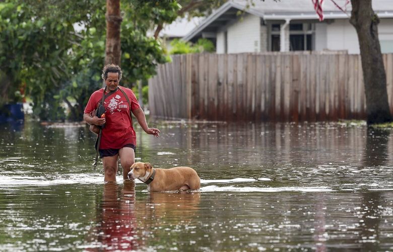 A woman walks with her dog through floodwaters from Hurricane Helene in the Shore Acres neighborhood Friday, Sept. 27, 2024, in St. Petersburg, Fla. (AP Photo/Mike Carlson) FLMC121 FLMC121