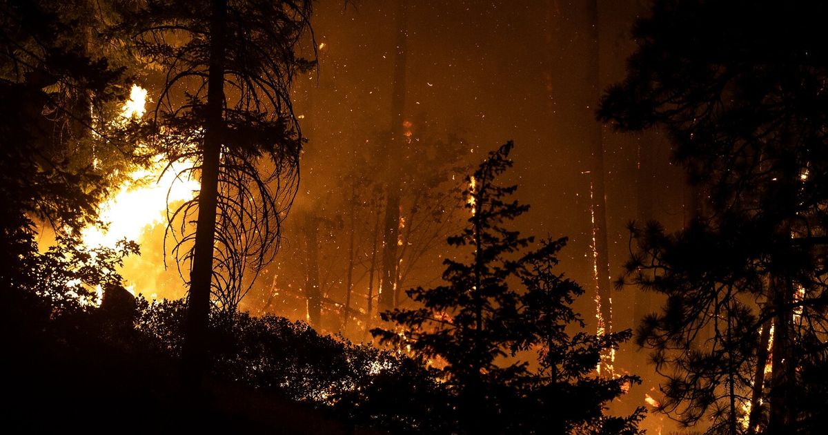 Is wildfire season over for WA?