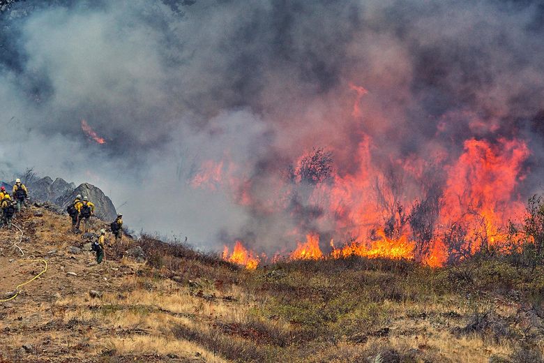 Firefighters in yellow suits combat flames in a wildfire.