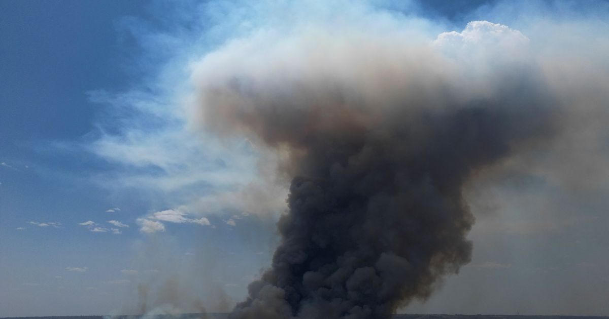 Bomberos brasileños combaten incendio en parque nacional que envuelve en humo Brasilia