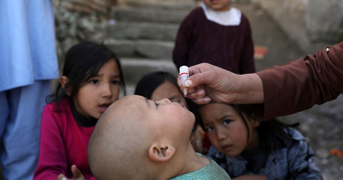 Los talibanes suspendieron las campañas de vacunación contra la polio en Afganistán, según la ONU